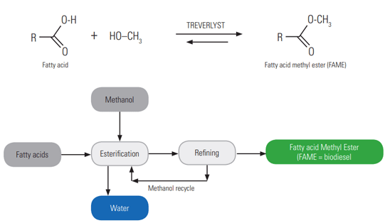 FAME (biodiesel)